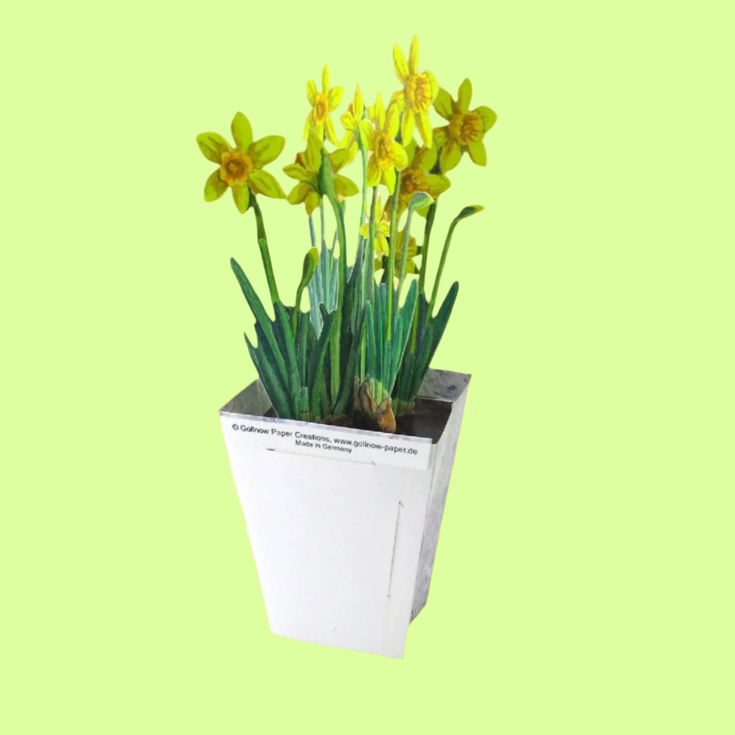 Greeting Card - 3D Daffodils