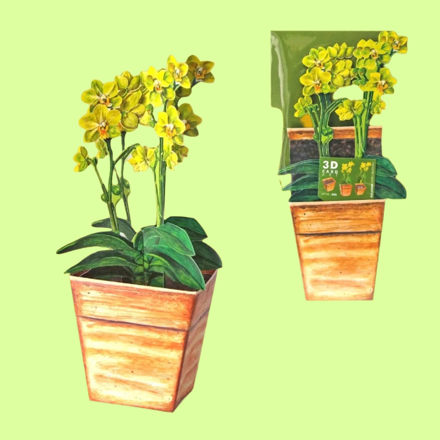 Greeting Card - 3D Orchids