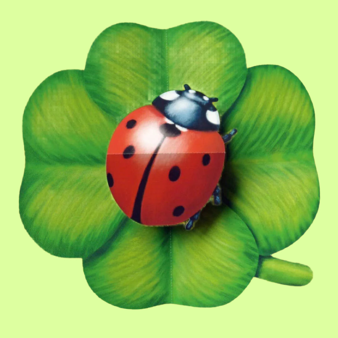 Greeting Card - 3D Pop up Ladybird