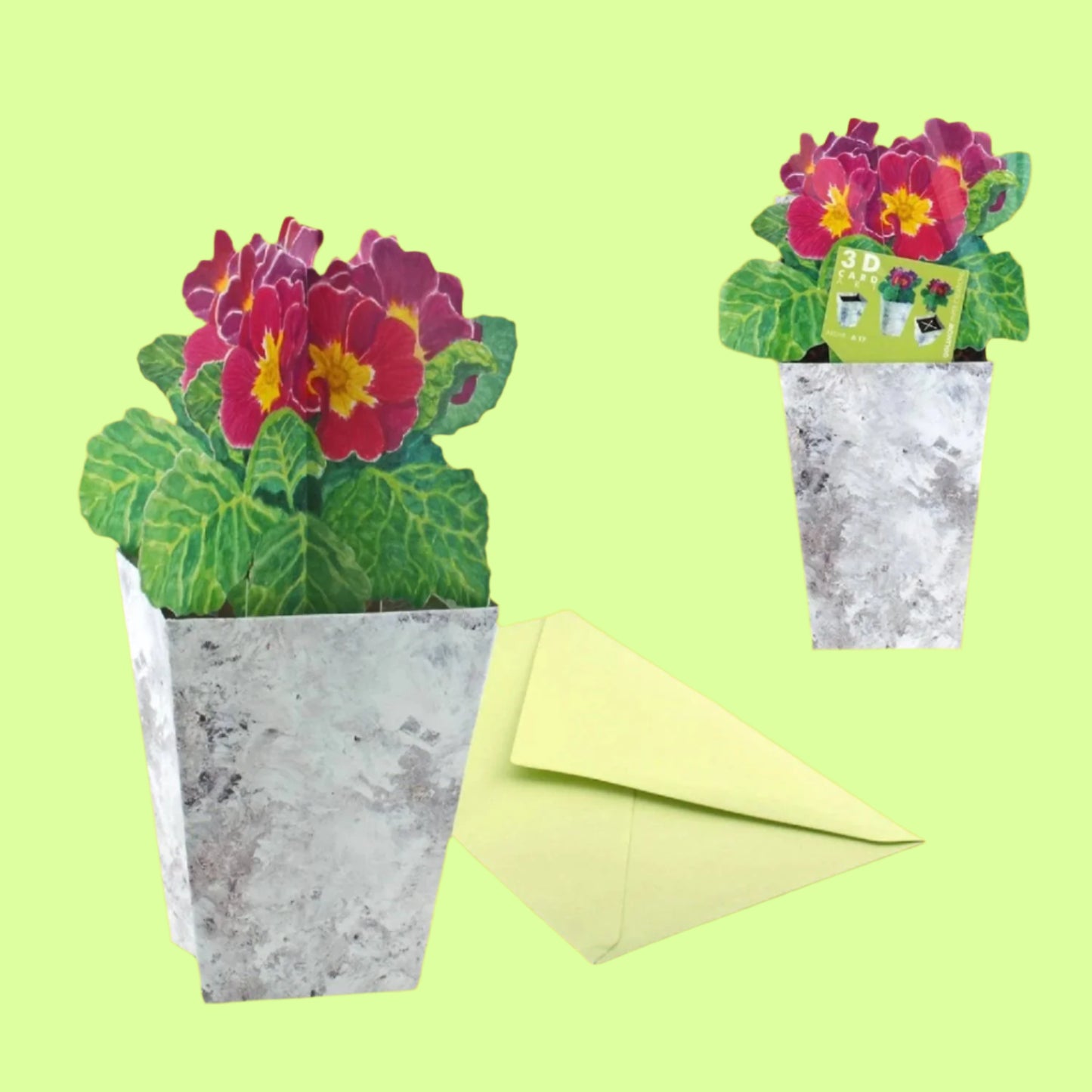 Greeting Card - 3D Primroses
