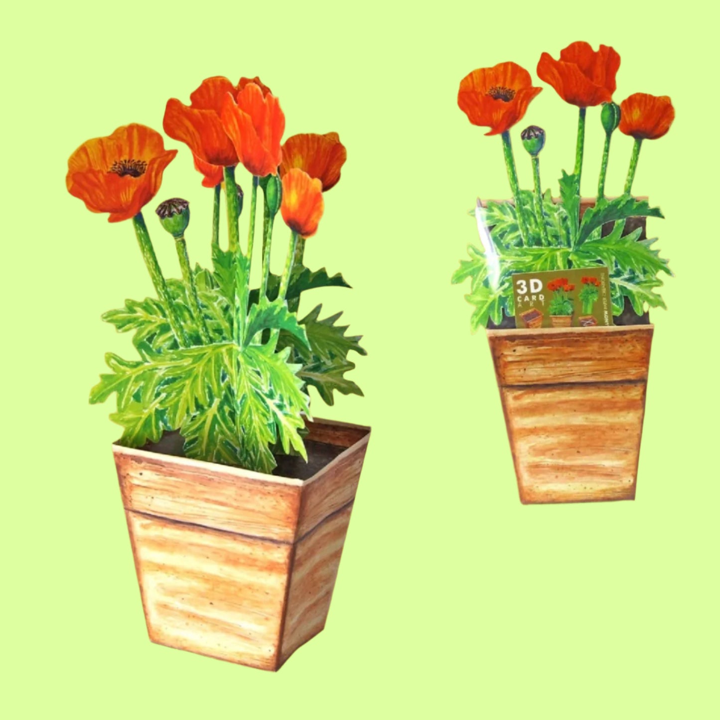 Greeting Card - 3D Poppies