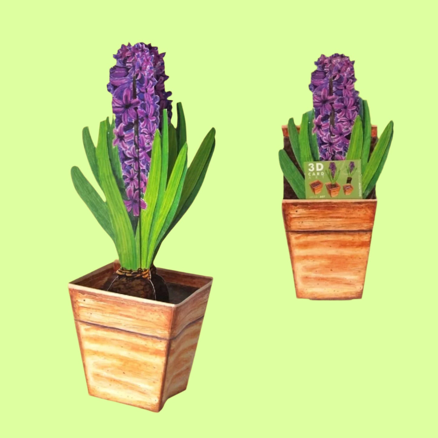 Greeting Card - 3D Hyacinth