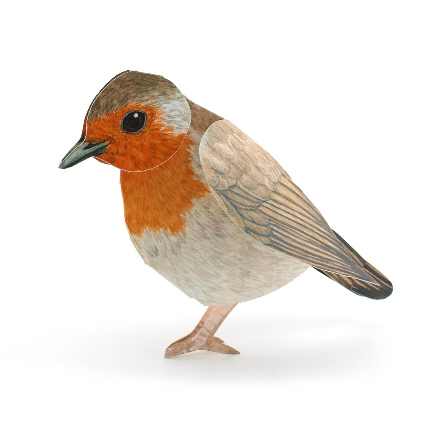 Greeting Card - 3D Robin