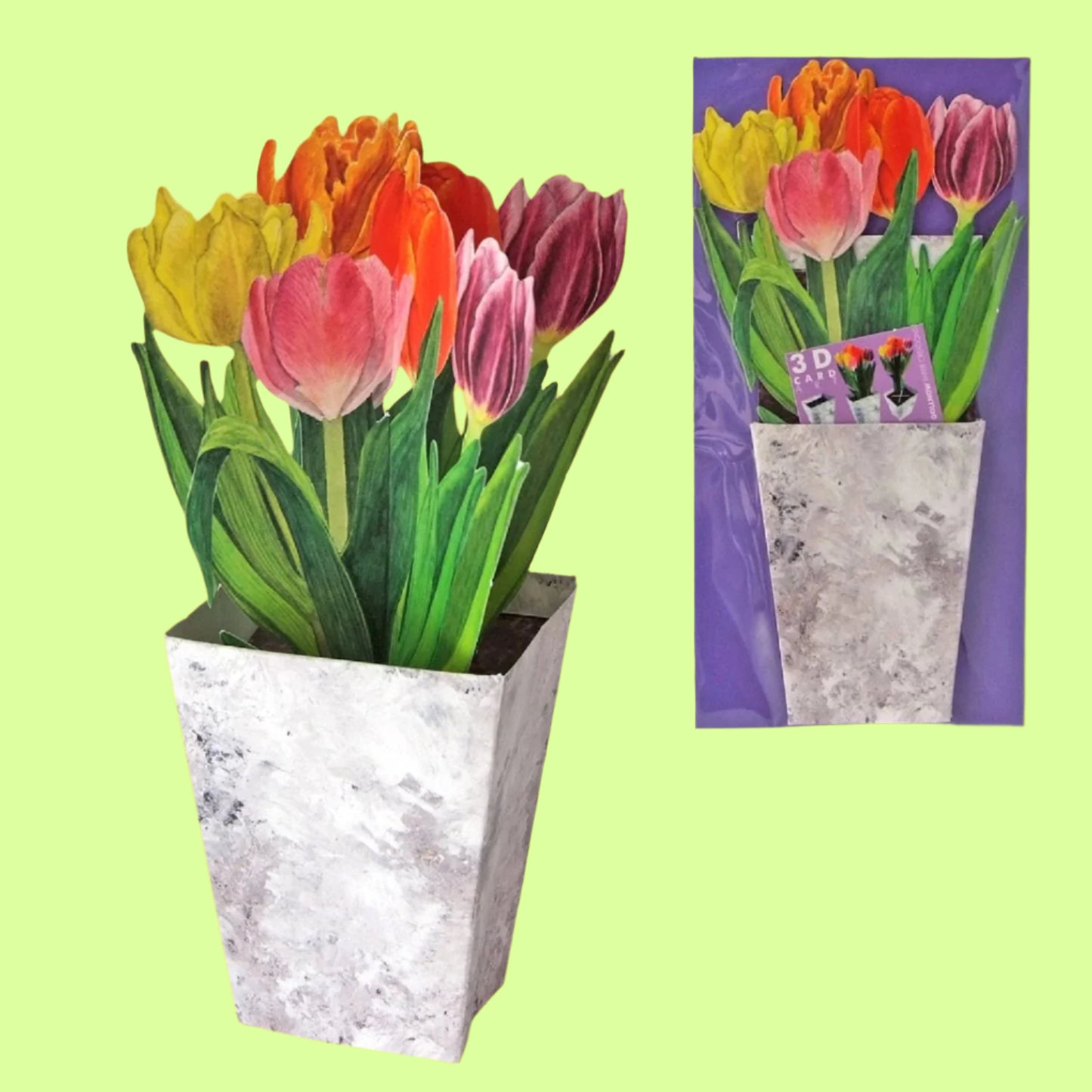 Greeting Card - 3D Tulips in Planter