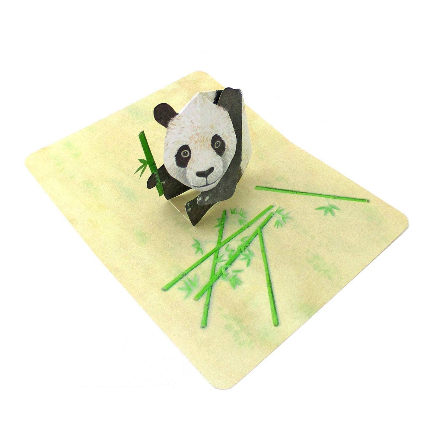 Greeting Card - Pop up Panda
