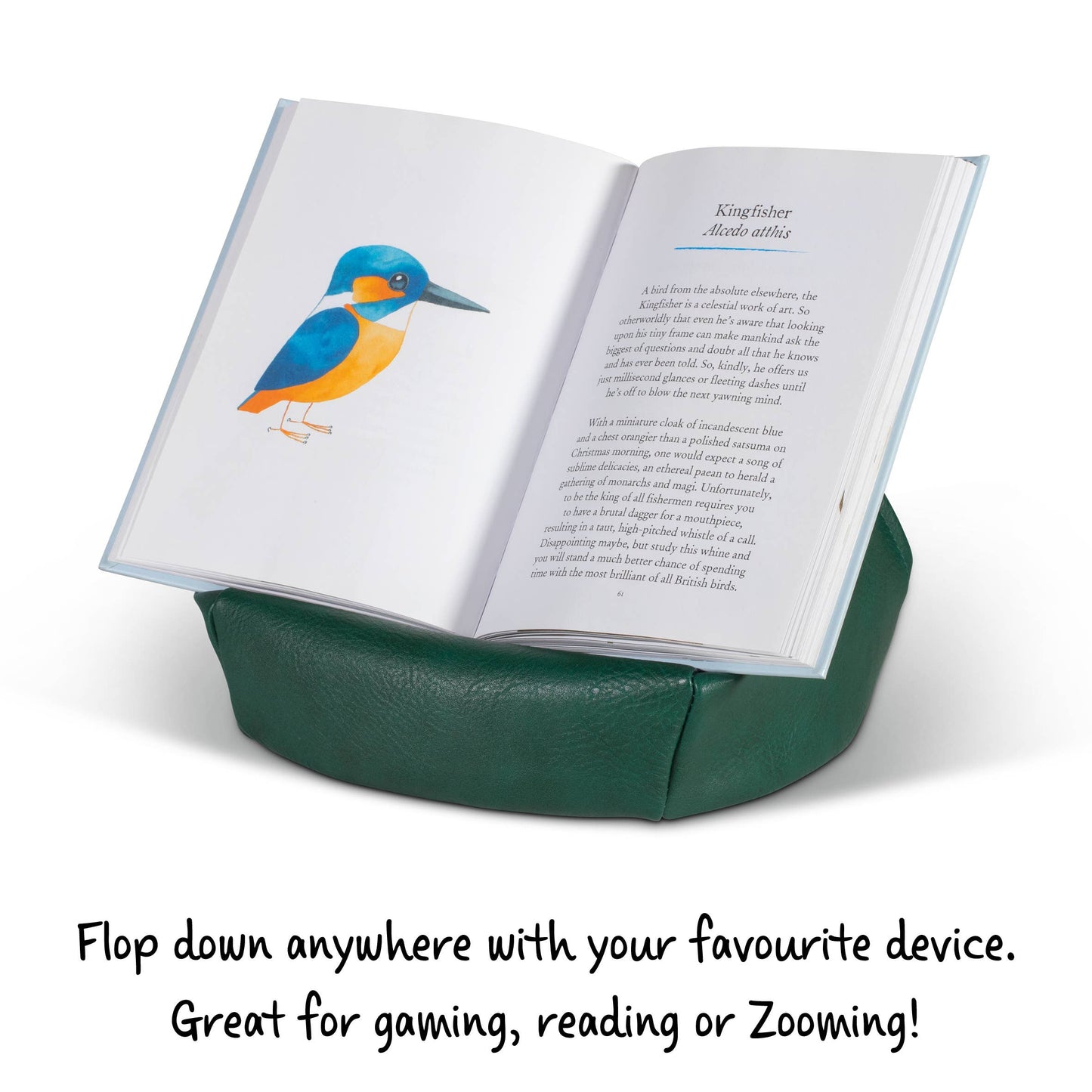 Bookaroo Bean Bag Reading Rest: Orange and Teal