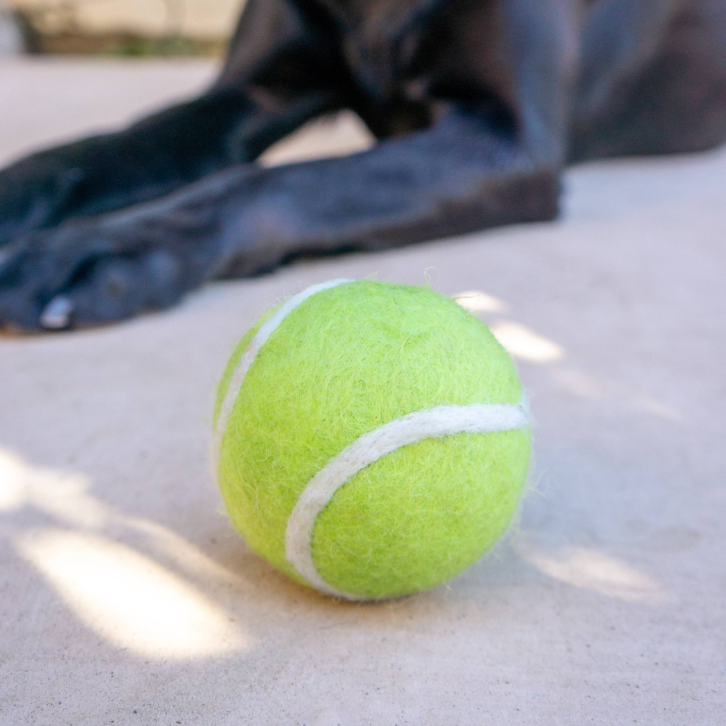 Dryer Balls - F 100% NZ wool tennis ball