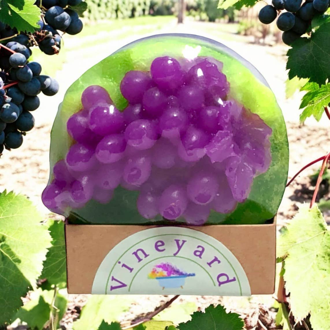 Soapy Sponge Vineyard